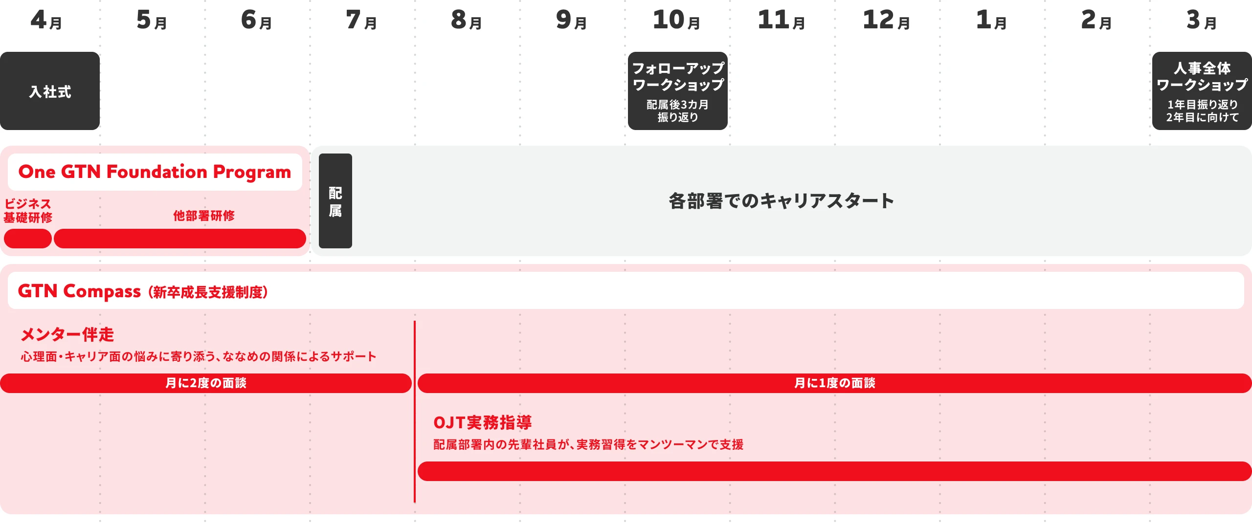 新入社員向けの年間育成スケジュール図。4月入社後、6月まで基礎研修と他部署研修、7月に配属。その後は各部署での業務開始とともに、メンター制度による定期面談、OJT制度、人事ワークショップを翌年3月まで実施する
